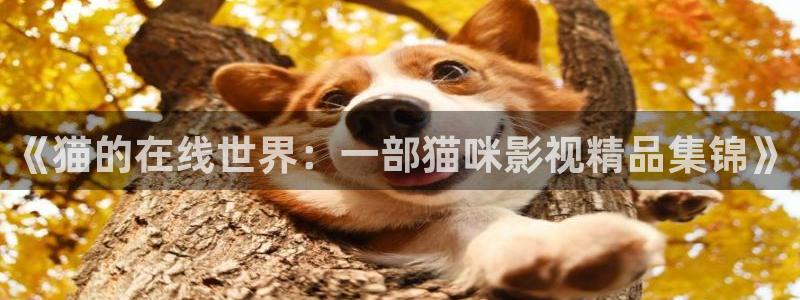 yy4480青苹果影院